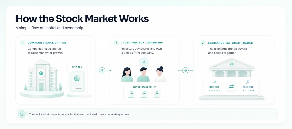 How the stock market works through companies, investors, and exchanges